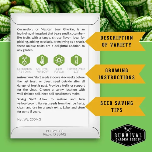 Miniatura 2 de Semillas de Cucamelon para plantar, 1 paquete con instrucciones para plantar y cultivar semillas de pepino de sandía agrias en tu huerto casero