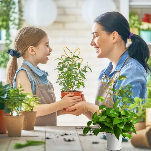 Miniatura 4 de 8 paquetes de enrejado de alambre de metal dorado para plantas en maceta, plantas trepadoras, amantes de las plantas de interior, Hoya, Pothos