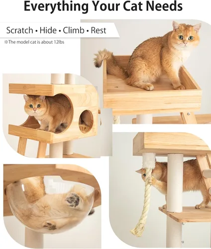 Miniatura 4 de Árbol de madera para gatos grandes, torre moderna para gatos de 62 pulgadas de alto con casita y postes rascadores, fácil de limpiar, de alta