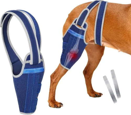 Miniatura 9 de Rodillera para perro para pierna trasera desgarrada del ligamento cruzado anterior, soporte ajustable para pierna trasera con 2 estabilizadores, Azul