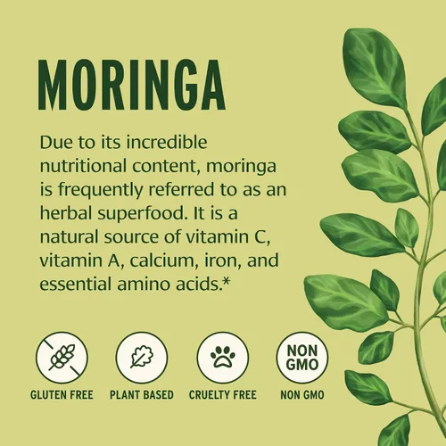 Miniatura 4 de Banyan Botanicals Moringa en polvo orgánico – Moringa Oleifera – Superalimento en polvo y fuente natural de vitaminas y minerales* – 1/2 lb – Vegano