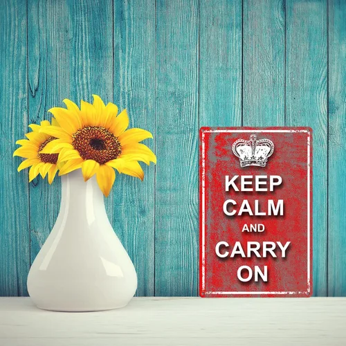 Miniatura 6 de Letreros de lata inspiradores, con texto en inglés «Keep Calm and Carry on», placas motivacionales para el hogar, oficina, habitación, bar, TP-2154