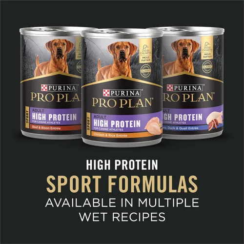 Miniatura 7 de Purina Pro Plan Alimento para perros con alto contenido de proteínas, fórmula Sport 30/20 de salmón y arroz, comida seca para perros - Bolsa de 33