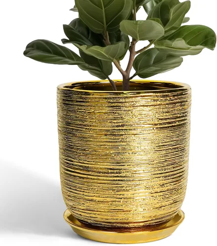 Miniatura 34 de Maceta de Cerámica para Plantas de Interior de 5 Pulgadas - Maceta Redonda para Plantas Suculentas con Agujero de Drenaje y Platillo, Decoración
