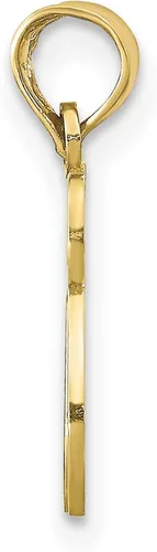 Miniatura 2 de Colgante de oro amarillo de 10 quilates con símbolo de larga vida de Chai, 0.551in x 0.512in