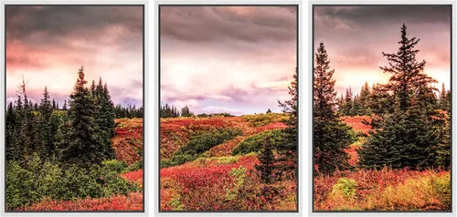 SIGNWIN Lienzo enmarcado para pared, juego de arte nublado de tormenta, cielo, bosque otoñal, árboles, rústico, naturaleza, fotografía, realismo,