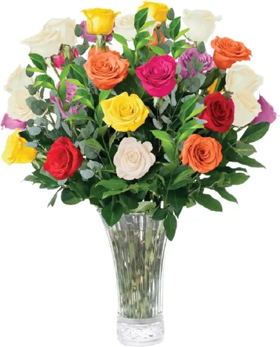Aquarossa Farms Flores para entrega, ramo de flores frescas, seleccionadas a mano de la granja, regalo para cumpleaños, aniversario o simplemente