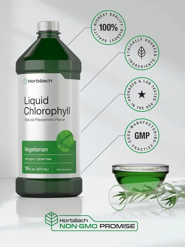 Miniatura 6 de Horbäach Clorofila líquida 100 mg 32 onzas líquidas (2 botellas de 16 onzas líquidas) Gotas naturales con sabor a menta Fórmula