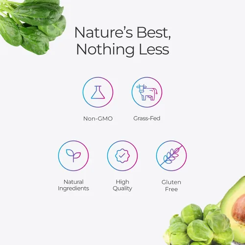 Miniatura 6 de Livingood Daily - Polvo de colágeno para mujeres y hombres, péptidos de colágeno hidrolizado alimentado con pasto, proteína y multivitaminas