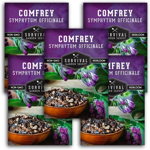 Miniatura 11 de Semillas de consuelda para plantar, Symphytum Officinale Hierba medicinal perenne para té de abono y cuidado de la piel natural, raíz resbaladiza