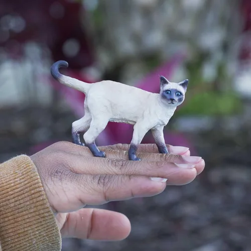 Miniatura 2 de Safari Ltd. Figura de gato siamés – Figura detallada de plástico de 3.25 pulgadas – Divertido juguete educativo para niños, niñas y niños a partir