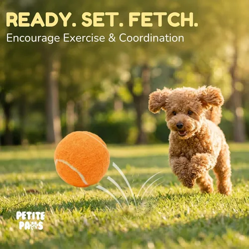 Miniatura 6 de Pelotas de tenis chirriantes coloridas para perros pequeños y cachorros, 1.5 pulgadas, paquete de 12 unidades, juguetes de entrenamiento para perros
