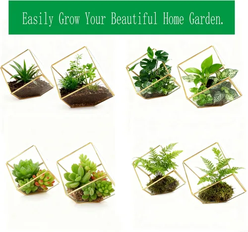 Miniatura 3 de ELEGANTLIFE Terrario de Plantas Geométrico de Cristal, Macetas para Suculentas y Plantas de Aire para Decoración de Hogar, Jardín, Oficina