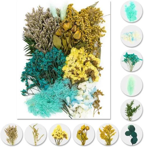 Vignee - Flores de hojas prensadas secas reales - Varias flores prensadas de colores, margaritas para manualidades de resina, fabricación de joyas,