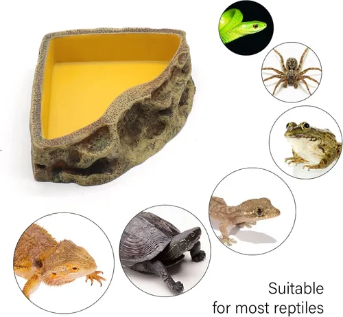 Miniatura 4 de Comedero de reptiles Tazón de resina para anfibios para lagarto Gecko tortuga dragón barbudo