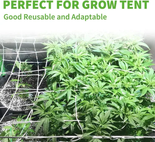 Miniatura 7 de iPower Paquete de 4 redes elásticas de enrejado de 3 x 3 pies con 6 ganchos para plantas trepadoras de invernadero de interiores y exteriores