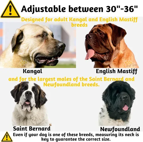 Miniatura 2 de ADITYNA - Collar para perros gigantes con asa - Collar ajustable XXL de 30 a 36 pulgadas - Diseñado exclusivamente para razas de perros enormes como