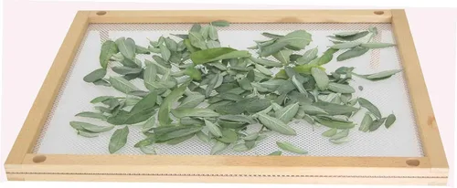 Miniatura 4 de Eppicotispai Secador de alimentos apilable de madera de haya con red