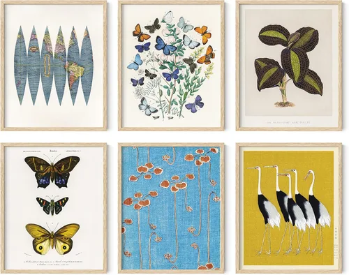 Miniatura 46 de HAUS AND HUES Arte abstracto para pared, juego de 6 arte moderno japonés para pared, decoración de pared estética, póster de mariposa y luna, obra