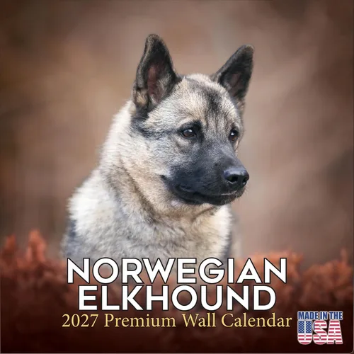 Miniatura 104 de Calendario amarillo 2025 2026 de Labrador Pups – Calendario mensual de pared de raza de perro – 12" x 24" abierto – Papel grueso anti-traspaso