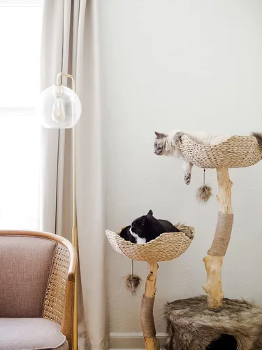 Miniatura 5 de Torre de Árbol para Gatos Moderna, Condominio de Lujo con Ramas Reales, Torre de Gatos de Madera, Árbol para Rascar Gatos, Condominio para Gatos
