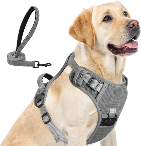 Miniatura 23 de BEAUTYZOO Arnés para perro sin tirones pequeño, juego de arnés y correa ajustable para perro - Fácil de usar con 3 hebillas/mango de control, arnés