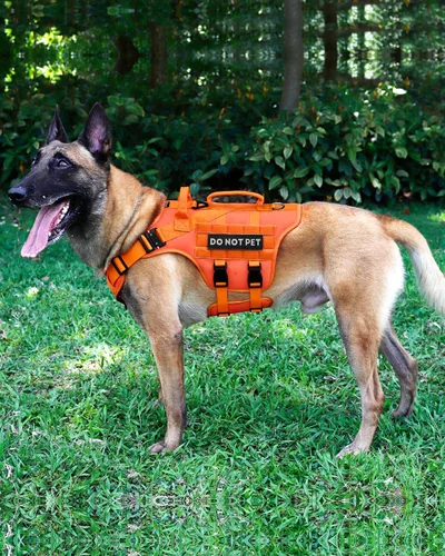 Miniatura 6 de Arnés Táctico para Perros - PETNANNY Arnés para Perros Chaleco de Perro de Servicio para Perros de Raza Grande, Panel de Velcro para Parches