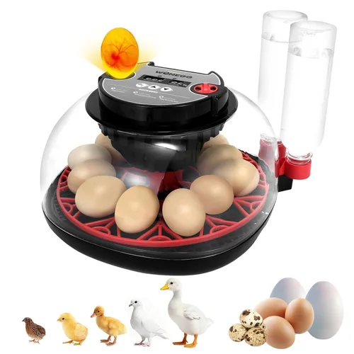 Miniatura 18 de Gen III - Incubadora automática de 24 huevos, humedad adaptativa basada en etapas con recarga automática, control de temperatura estable, espaciado