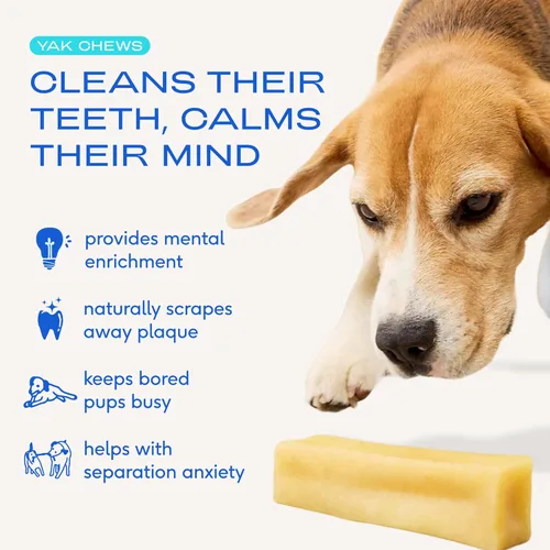 Miniatura 2 de Native Pet Yak Cheese Himalayan Dog Chews – Palitos dentales de larga duración para razas medianas – Masticables de yak del Himalaya 100% naturales