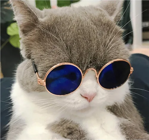 Miniatura 7 de 8 piezas de gafas de sol para mascotas, perro, gato, corbatín para mascotas, disfraz de mascota, collar formal ajustable para gatos, perros