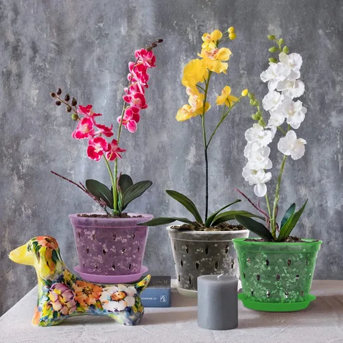 Miniatura 7 de Maceta de orquídeas, 7 pulgadas, paquete de 8 macetas de orquídeas con agujeros y platillos, maceta de plástico transparente para interiores