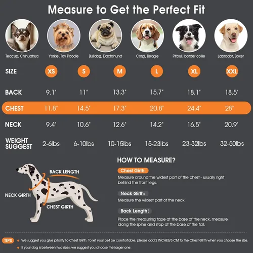 Miniatura 4 de Queenmore Suéter para perro, suéter para cachorros para perros pequeños, suéteres cálidos de invierno y otoño para perros, niñas y niños, suéter