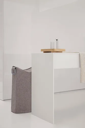 Miniatura 4 de Blomus 65387 - Papelera, color plateado