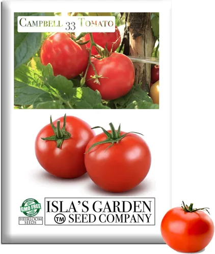 Campbell - Semillas de tomate de 33 pulgadas, más de 100 semillas de reliquia sin OMG para plantar, ideales para tomates jugosos y sabrosos,