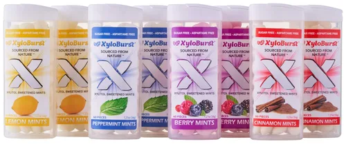 Miniatura 7 de XyloBurst - Mentas de xilitol Mentas de aliento sin azúcar para la salud bucal Sin gluten, veganas, aptas para dieta cetogénica Mentas sin