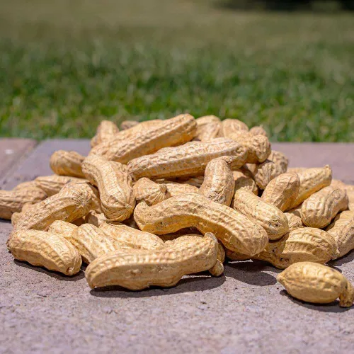 Miniatura 2 de Desert Valley Supply Cacahuetes crudos en cáscara de alta calidad, 2 libras, alimento totalmente natural para ardillas, ciervos, pájaros y otros