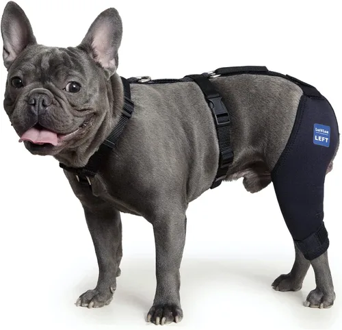 Miniatura 8 de Rodillera para perro con arnés y cinturón de conexión, ligera y elástica, soporte para pierna trasera desgarrada del ligamento cruzado anterior