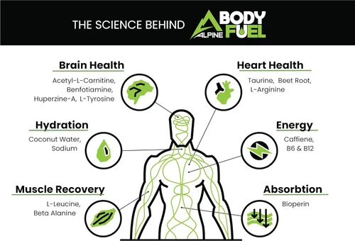 Miniatura 3 de Alpine Innovations Body Fuel Focus + Energy - Suplemento de gran sabor hecho para mejorar la concentración y proporcionar energía sin nerviosismo.