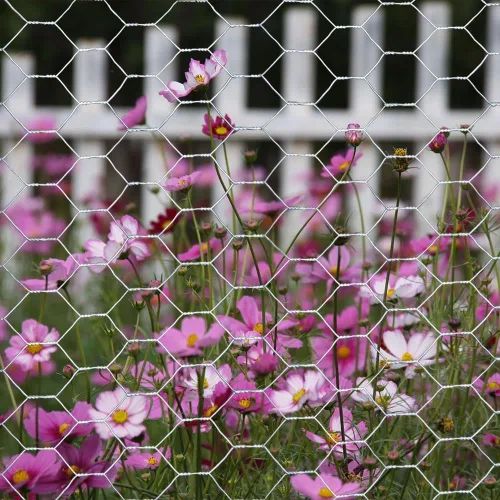 Miniatura 4 de MTB 20GA - Alambre hexagonal galvanizado para aves de corral, 12 pulgadas x 150 pies x 1 pulgada