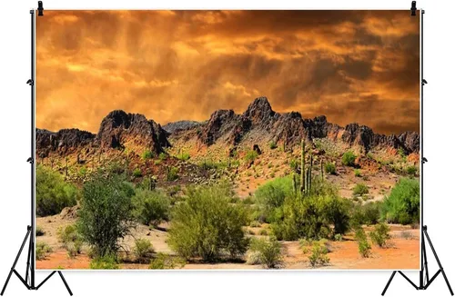 Miniatura 3 de Laeacco Telón de fondo de desierto desolado de 5 x 3 pies, montañas desgastadas, telón de fondo escénico, paisaje natural, puesta de sol, cactus