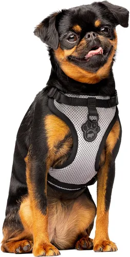 Canada Pooch Arnés para perro Everything sin tirones, arnés fácil de caminar para perros con exterior de malla transpirable, arnés ajustable para