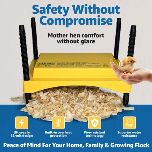 Miniatura 3 de Brinsea Ecoglow Safety 600 - Plato para criar hasta 20 pollitos - Placa térmica de 12 W de eficiencia energética para patitos y aves de corral