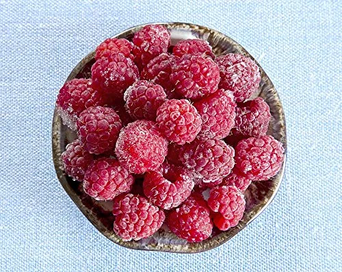Miniatura 2 de Fruta congelada fresca de Northwest Wild Foods - bayas silvestres orgánicas, naturales, para una dieta saludable y antioxidante. Ideal para batidos