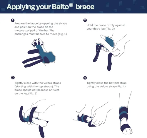 Miniatura 3 de Balto Férula de carpal/tarsal - Soporte para perro hiperextensión con férula de aluminio - Soporta fracturas y esguinces - Soporte de pierna