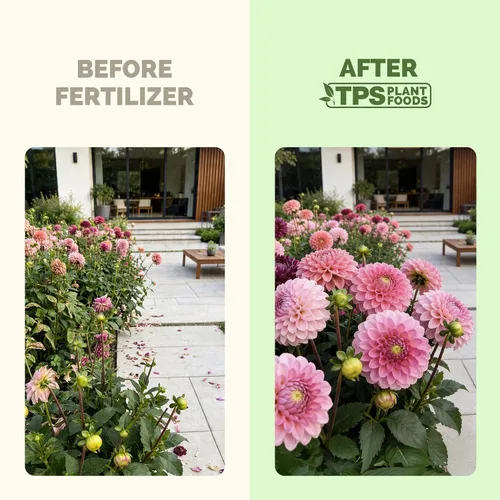 Miniatura 3 de Fertilizante Bloom Booster – Fertilizante de floración, alimento líquido para plantas para más floraciones, flores más grandes y desarrollo