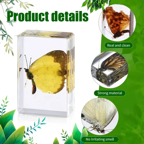 Miniatura 3 de 12 piezas de insectos de mariposa en resina colección de insectos, 12 estilos, kit de insectos reales preservado en resina para suministros