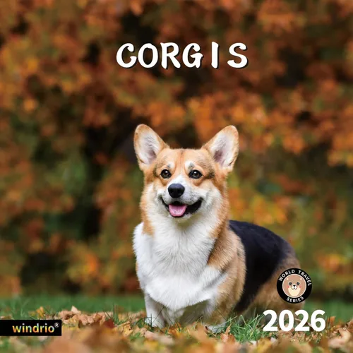 Miniatura 12 de Calendario de pared 2026, calendario 2026, noviembre de 2025 a diciembre de 2026, calendario de pared Beagles, 12 x 24 pulgadas abierto, página