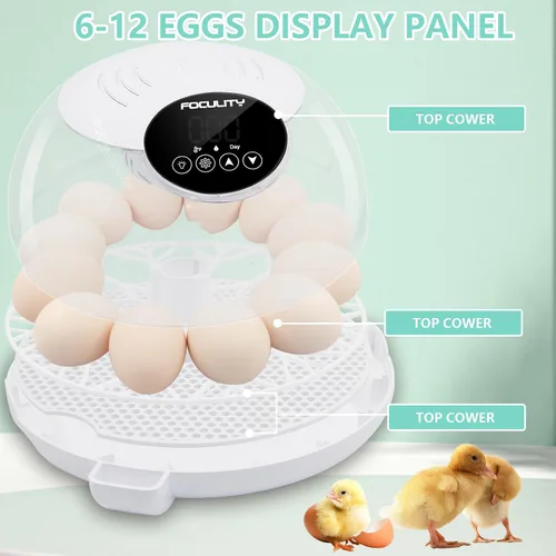 Miniatura 2 de Incubadora de huevos para incubar pollos, capacidad para 12 huevos, girador automático de huevos con temperatura, pantalla de humedad, vela
