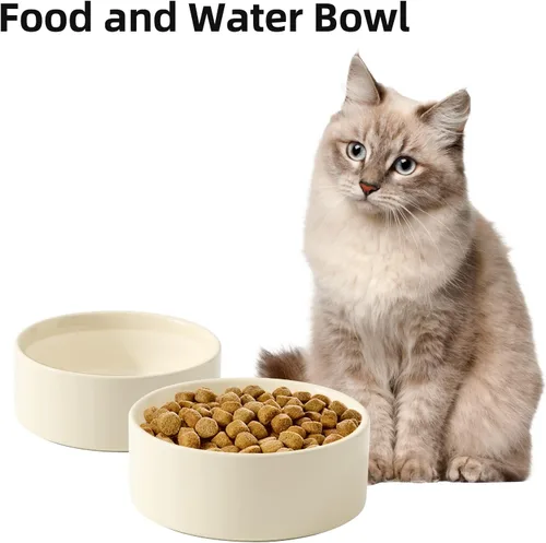 Miniatura 5 de Havniva Juego de 2 cuencos de cerámica para gatos, cuencos de comida y agua para gatos, gatitos, 2 platos para gatos, comedero para mascotas