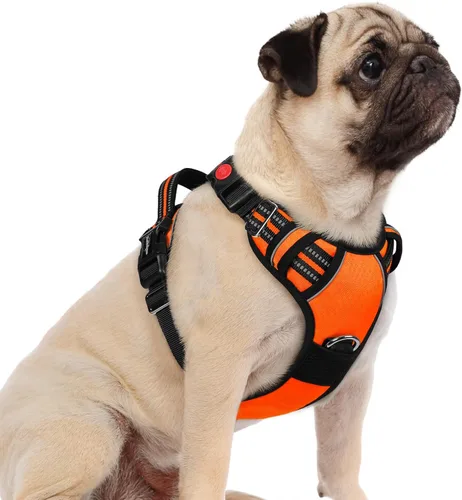 Miniatura 40 de rabbitgoo Arnés para perro de tamaño pequeño, chaleco para perro sin tirones con 3 hebillas, arnés ajustable y acolchado suave para mascotas con asa
